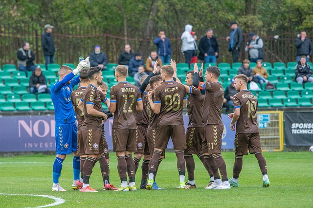 这一举措似 这一举措似